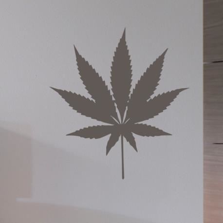 Planta De Marihuana